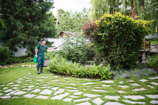 Best Bird Control  in Stewart Manor, NY