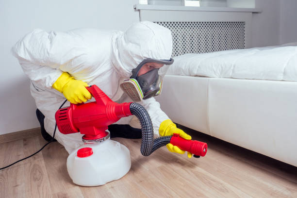 Best Pest Removal Services  in Stewart Manor, NY