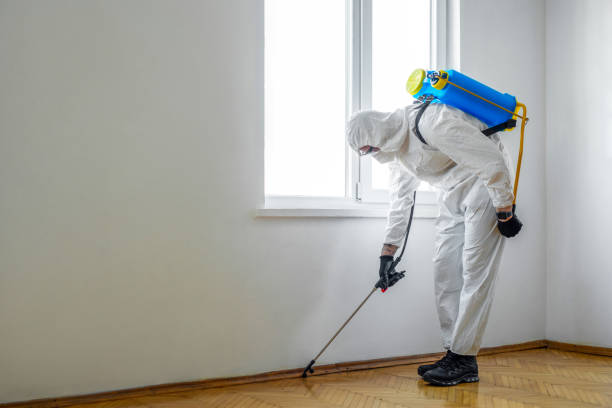Best Commercial Pest Control Services  in Stewart Manor, NY